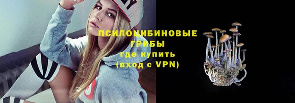 гашик Беломорск