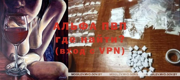 тгк Белокуриха