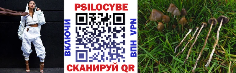 где купить наркоту  Струнино  Псилоцибиновые грибы ЛСД 