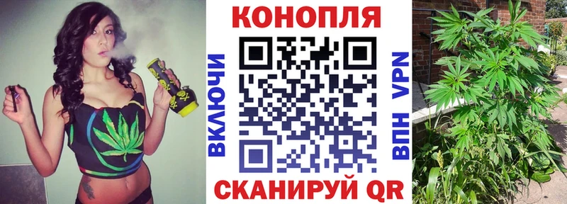 где продают наркотики  Струнино  Конопля тримм 